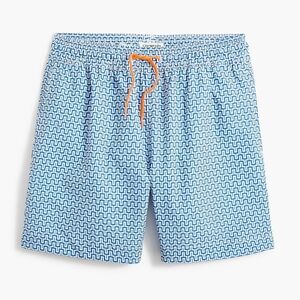 Crewcuts | Printed Mesh Liner Swim Trunks